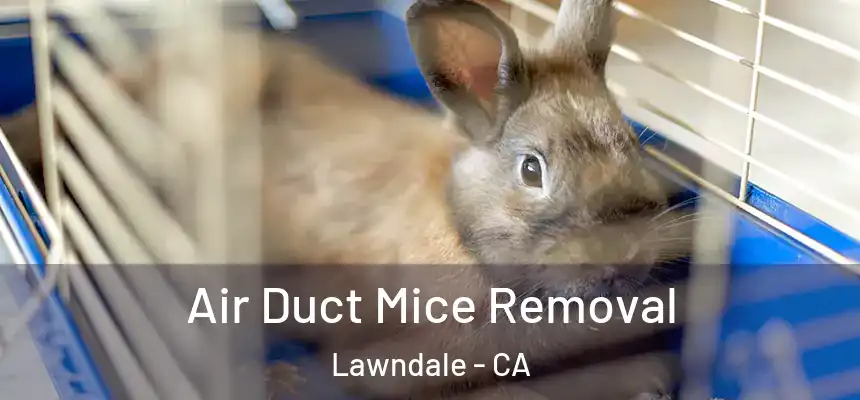  Air Duct Mice Removal Lawndale - CA