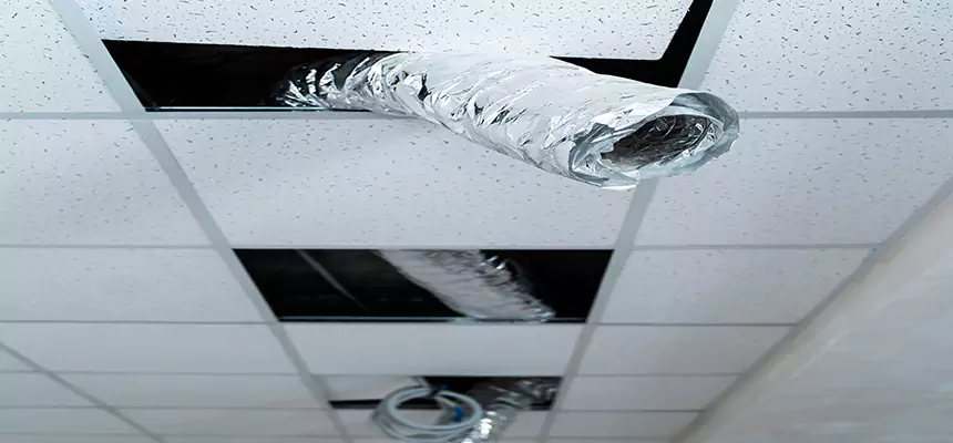 Affordable HVAC Sanitizing After Pest Removal in Lawndale