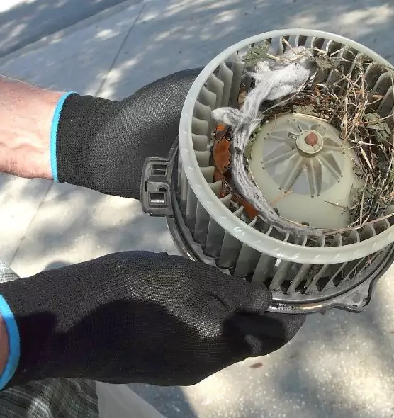 About Air Duct Rat Removal in Lawndale, CA