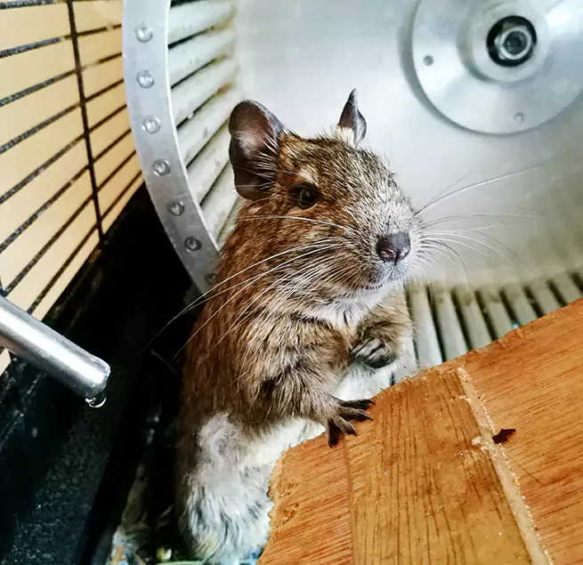 Why Homeowners & Businesses Trust Us Lawndale, CA