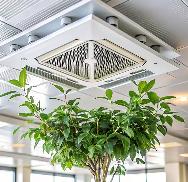 Why Homeowners & Businesses Trust Us in Lawndale, CA