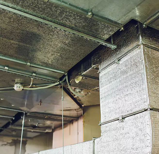 Why Homeowners & Businesses Trust Us in Lawndale, CA?